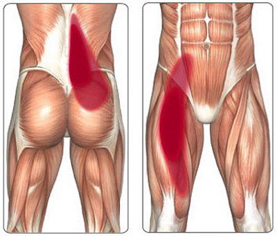 sports injury to the hips and groan images showing Pain distribution pattern psoas tendon problems.